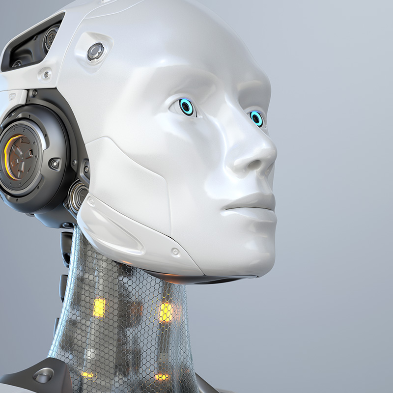Autonomous Robots